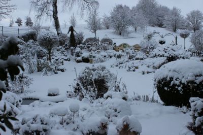 Garten Mitte Januar