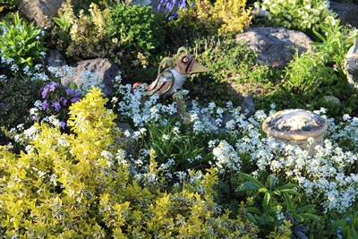 Wasserspucker in Blüten